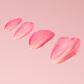 Flying rose Petals model